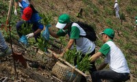 ВБ окажет помощь Вьетнаму в борьбе с климатическими изменениями